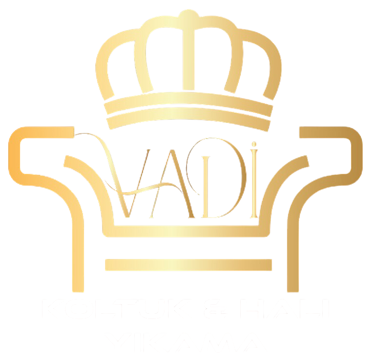 Vadi Halı Yıkama Logo